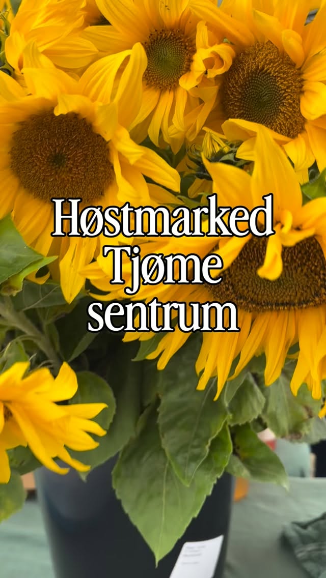 For en fantastisk dag det ble på høstmarked i Tjøme sentrum 🌻💕 så gøy å se all… — Anonym fotograf