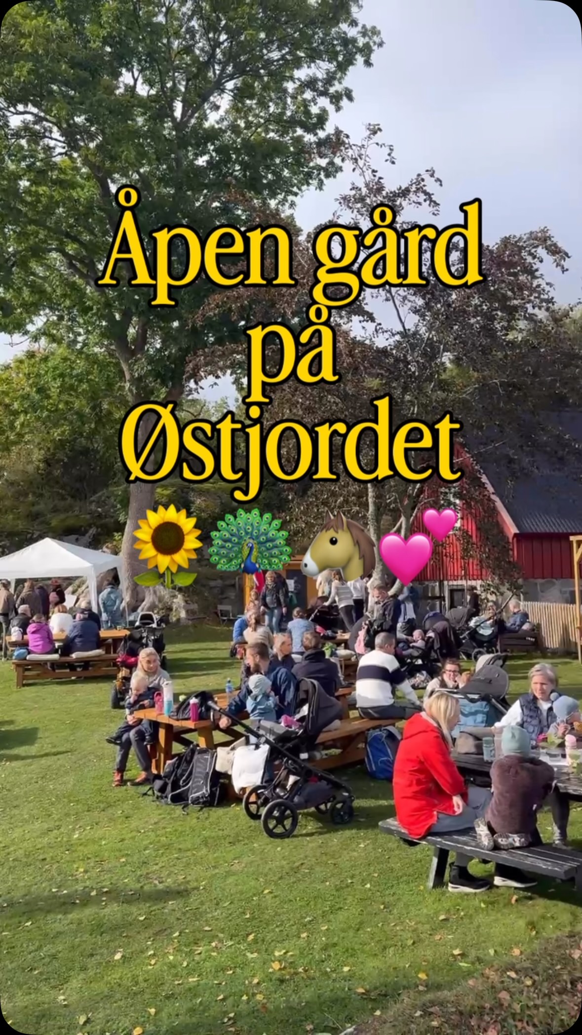 Vi tar av oss hatten for @ostjordetgaard 🙌 tusen takk for alt dere gjør, produs… — Anonym fotograf